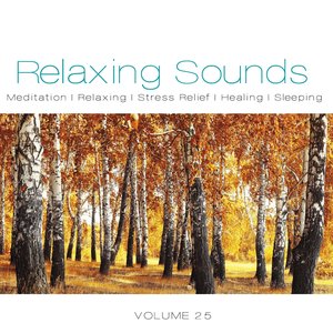 Relaxing Sounds, Vol. 25