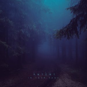 In Your Arms - Single