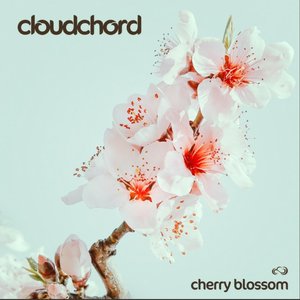 Cherry Blossom