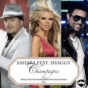 Sahara feat. Shaggy 的头像