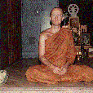 Image for 'Thanissaro Bhikkhu'