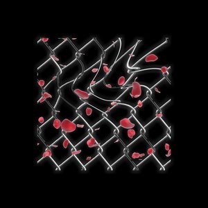 Life of Glass - EP