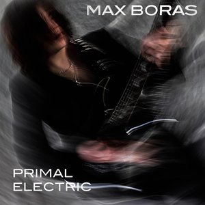 Primal Electric