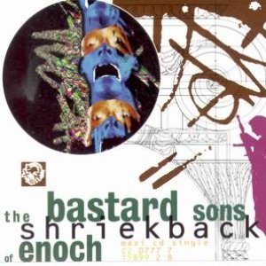 The Bastard Sons Of Enoch