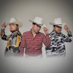 Los Destacados De Sinaloa 的头像