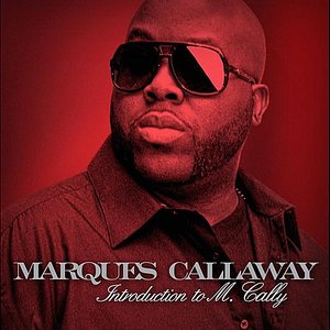 Introduction to M.Cally