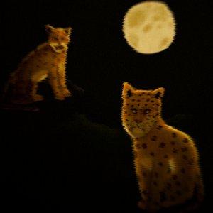 When the Jaguar Flies Over the Moon