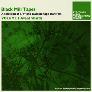 Black Mill Tapes, Volume 1: Avant Shards cover