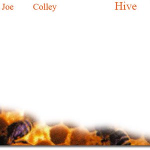 Hive