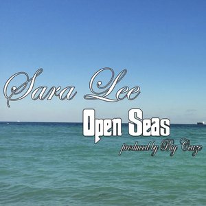 Open Seas (feat. Big Ceaze)