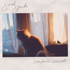 Comfort In Concrete