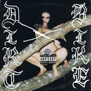 Dirtbike - Single