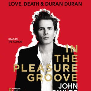 Изображение для 'In The Pleasure Groove: Love, Death & Duran Duran'