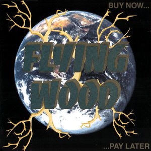 Buy now pay later