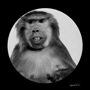 Image for 'Joku'
