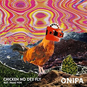 Chicken No Dey Fly