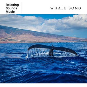 Whale Song for Sleep