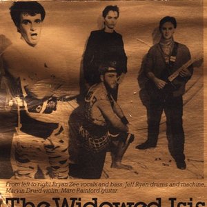 the widowed isis 的头像