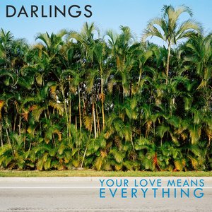 The Darling Minds 的头像