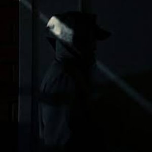 Avatar for Midnight Teddy