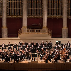 Image for 'Vienna Chamber Orchestra'