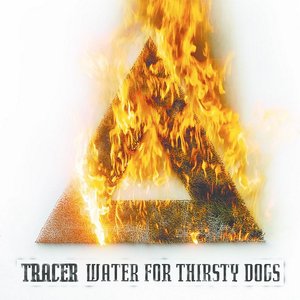 Water For Thirsty Dogs
