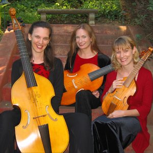 Wildcat Viols 的头像