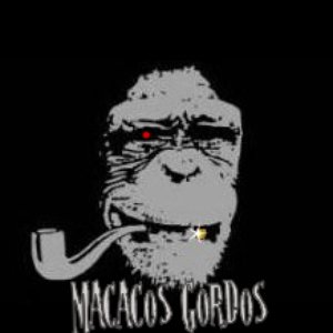 Macacos Gordos 的头像