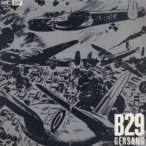 B29