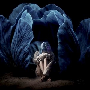 Blue.D 的头像