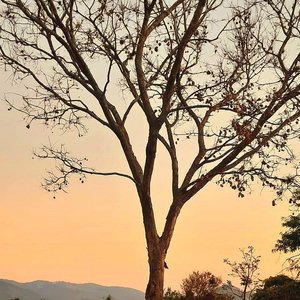 Fada - Single