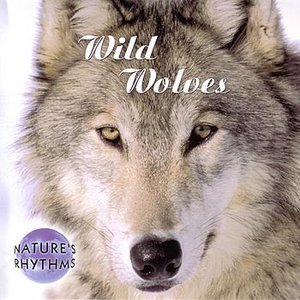 Wild Wolves