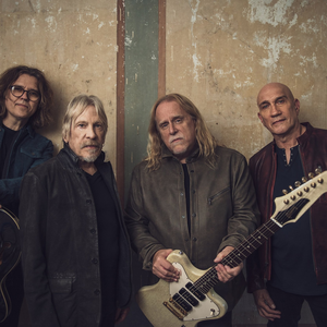 Gov't Mule live