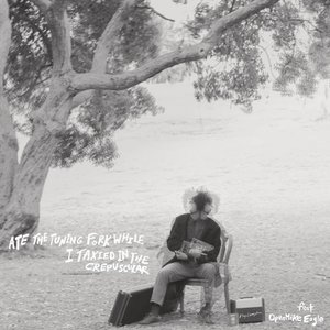 Ate the Tuning Fork While I Taxied in the Crepuscular