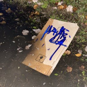 Hashirat için avatar