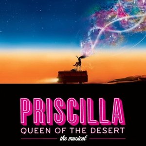 Immagine per 'Original Cast - Priscilla Queen Of The Desert - The Musical Original Cast Recording'