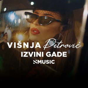 Izvini gade