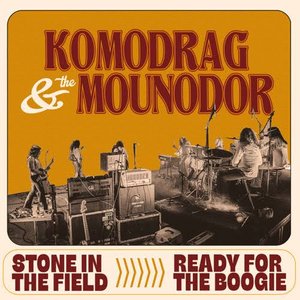 STONE IN THE FIELD