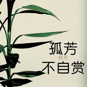 孤芳不自赏
