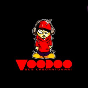 Avatar for Voodoo Records
