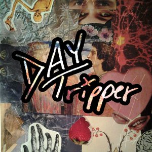Daytripper