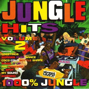 Jungle Hits Volume 2