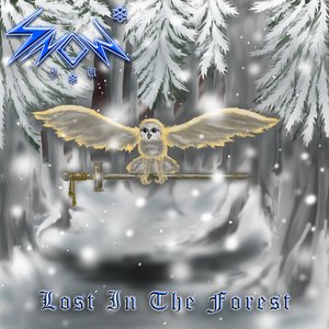 Lost in the Forest