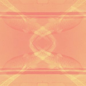 No Man Is An Island (Crowd Shy Remix)