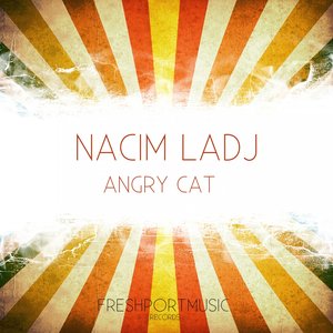Angry Cat