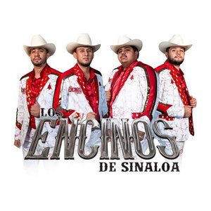 Avatar for Los Encinos De Sinaloa