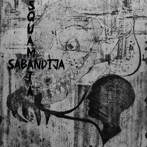 Squamata