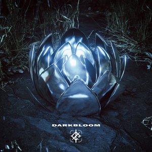 Darkbloom - Single