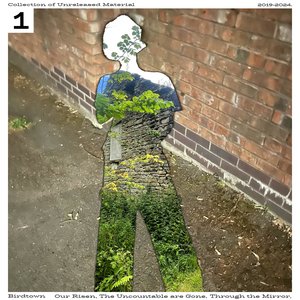 Collection of Unreleased Material 2019-2024: Our Risen, The Uncountable are Gone, Through the Mirror (1)