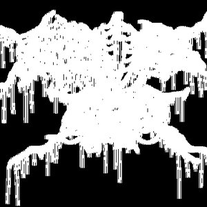 Malicious Mass Murder 的头像